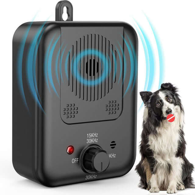 Solution anti-aboiement à ultrasons pour chien