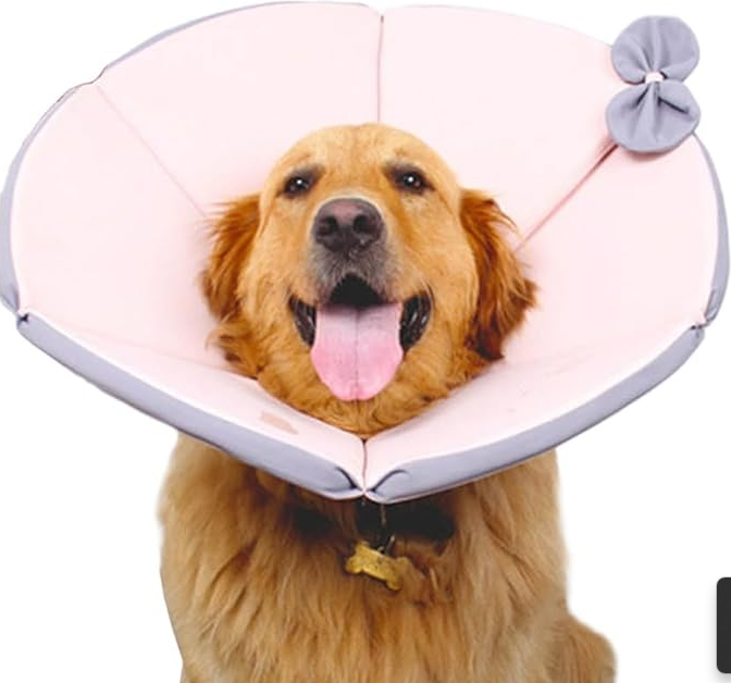 Collier protecteur chien post-opératoire. Confort optimal, évite les léchages.  Guérison rapide.