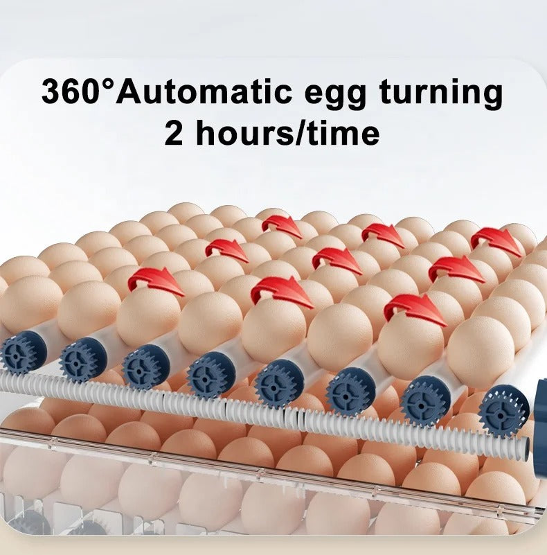 Incubadora Automática - Eclosión Fácil - 15/24/36 Huevos