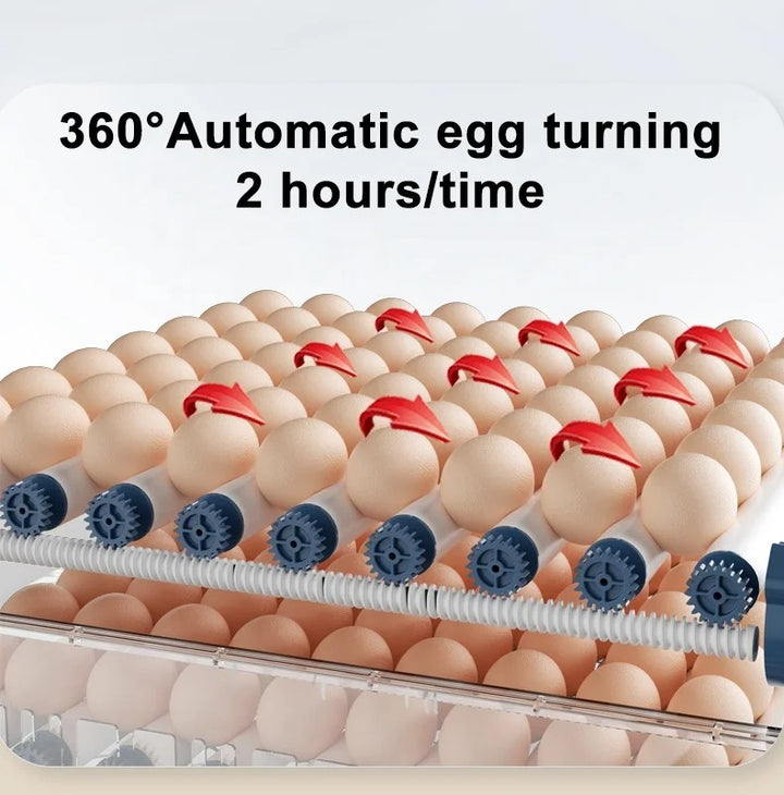 Incubadora Automática - Eclosión Fácil - 15/24/36 Huevos