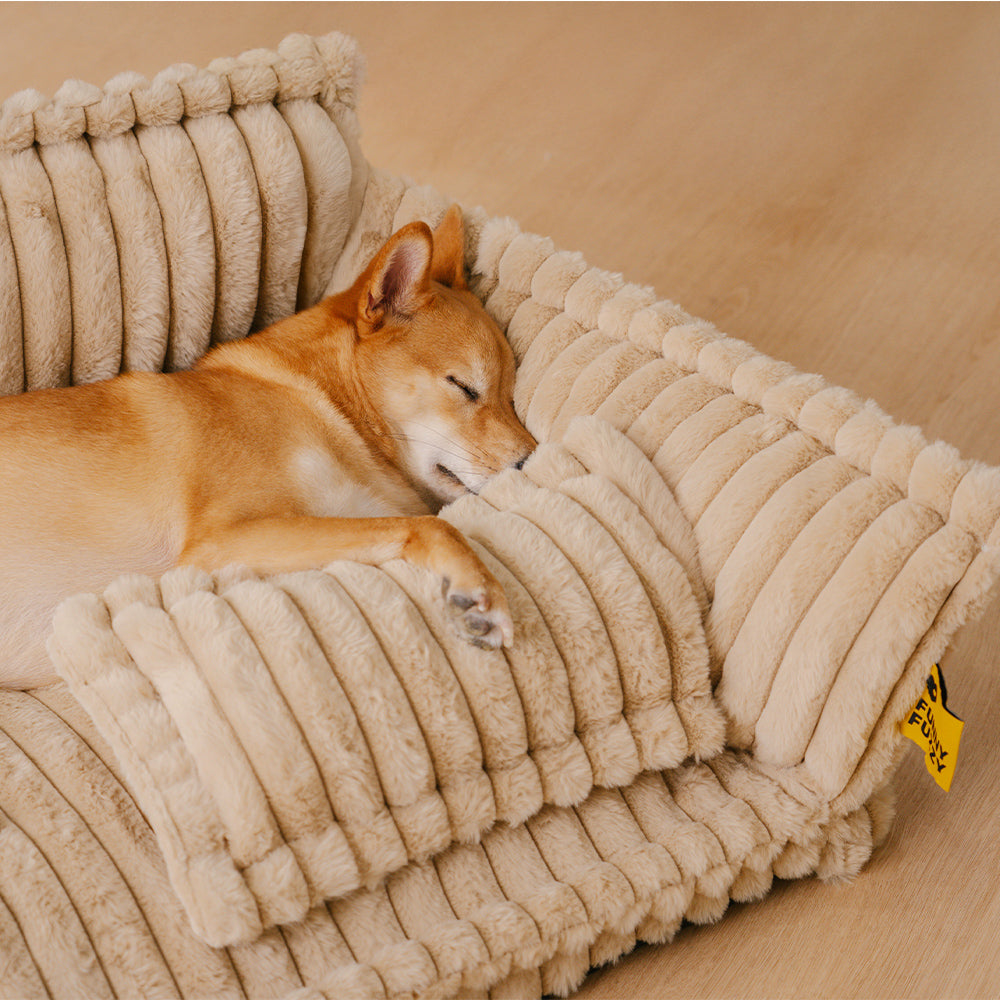 Lit Orthopédique Chien: Confort & Soutien