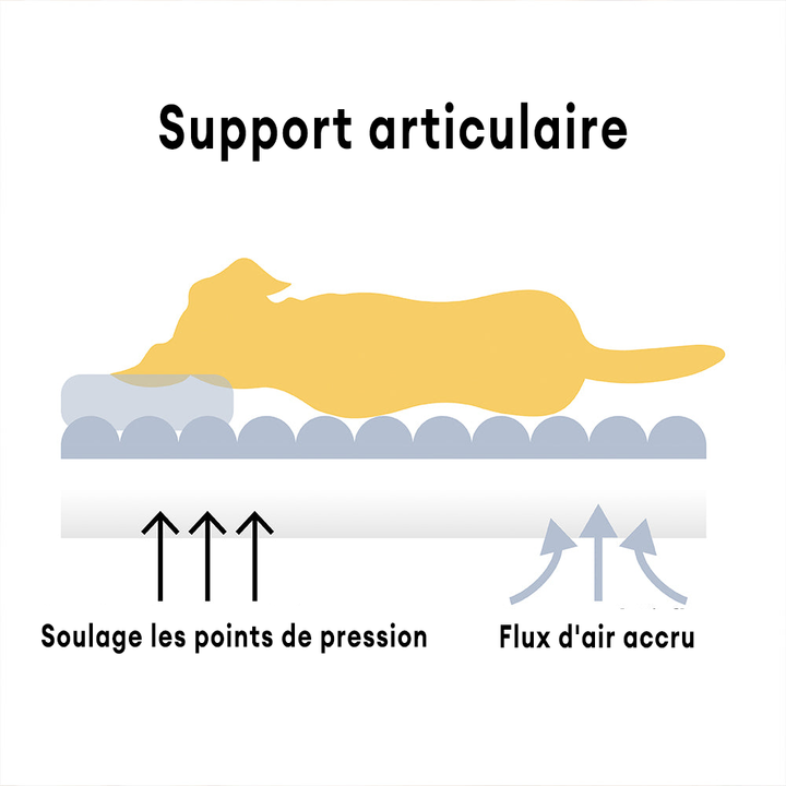 Lit Orthopédique Chien: Confort & Soutien
