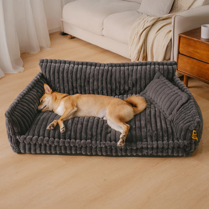 Lit Orthopédique Chien: Confort & Soutien