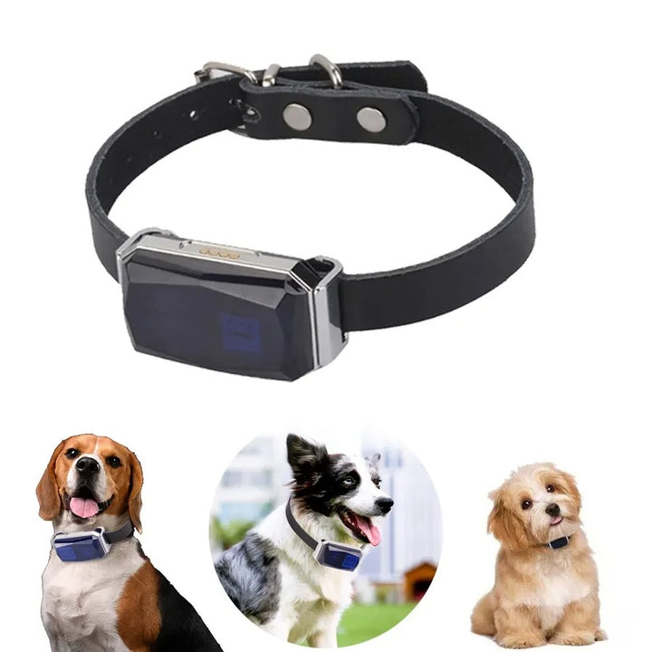 Collier GPS Chien Chat - Portée Illimitée - Suivi Précis