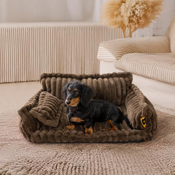 Lit Orthopédique Chien: Confort & Soutien