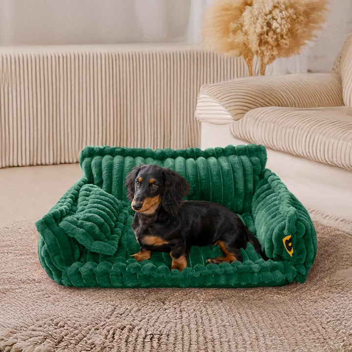 Lit Orthopédique Chien: Confort & Soutien