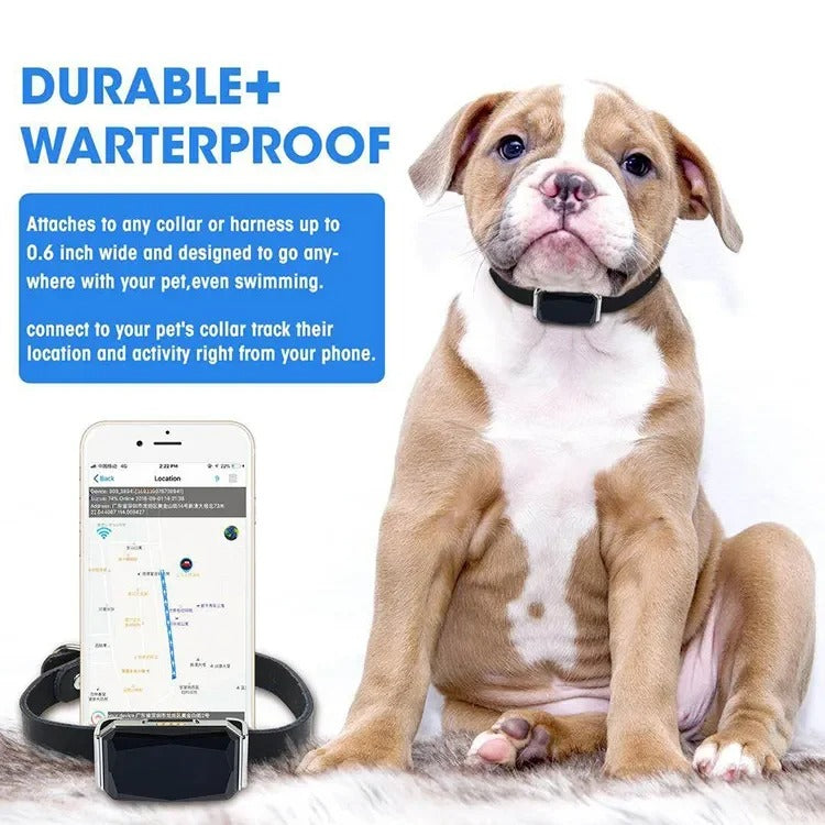 Collier GPS Chien Chat - Portée Illimitée - Suivi Précis