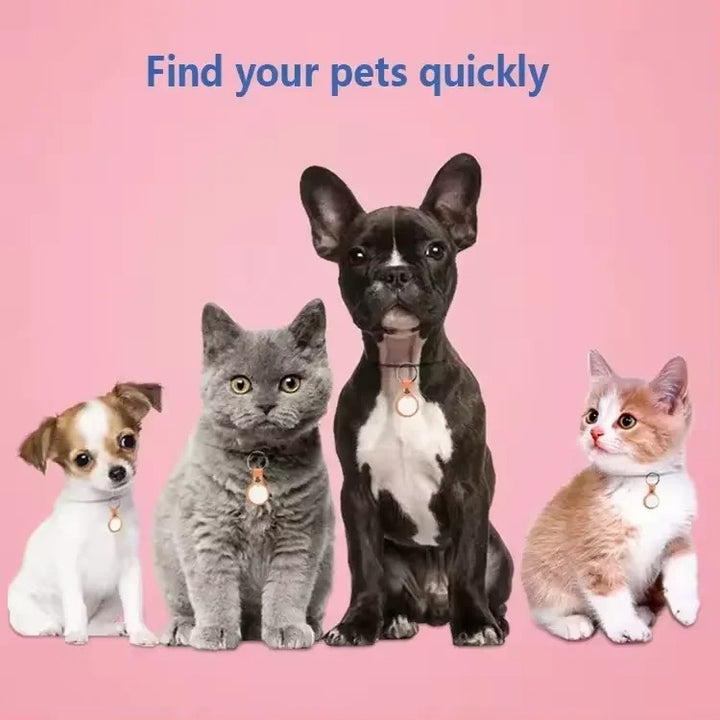 GPS-Tracker Katze - Freiheit & Sicherheit - Havenridges