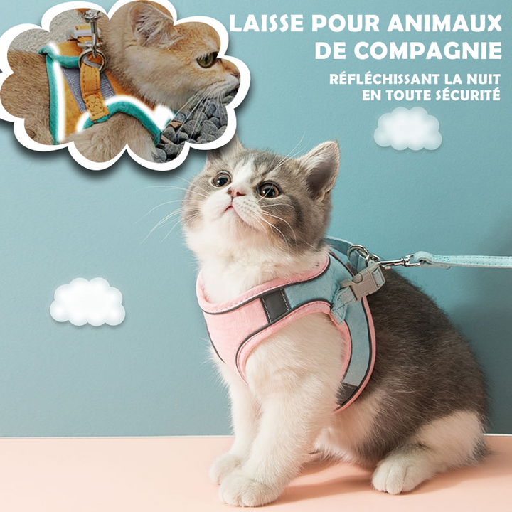 Ensemble Harnais et Laisse pour Chat