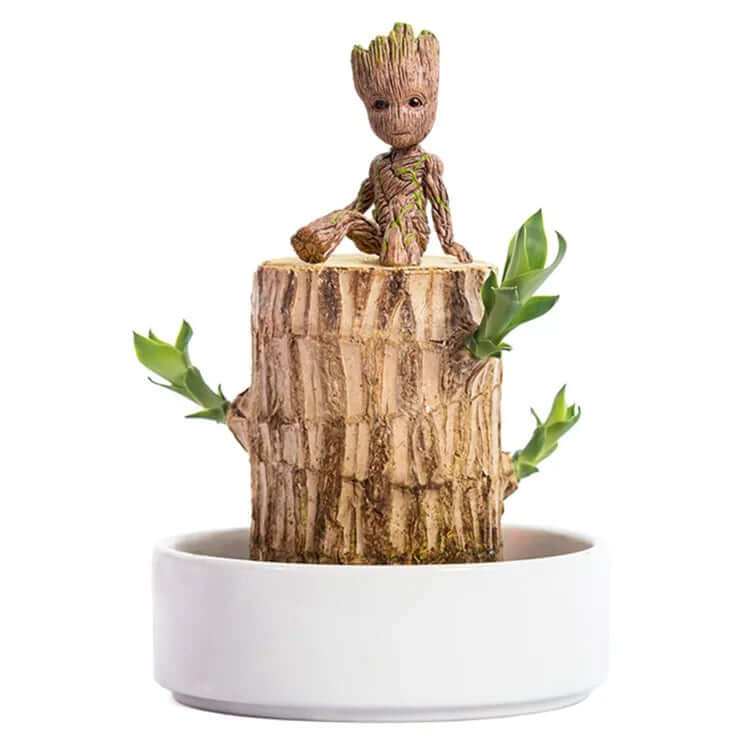 Plante Purificatrice