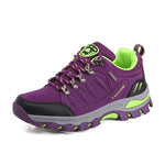 Violett