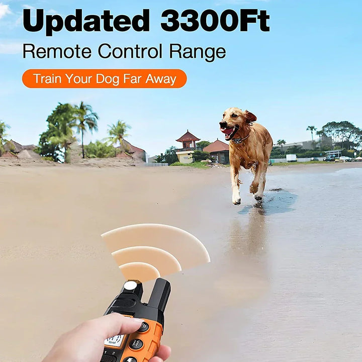 Collier Dressage Chien 1000m: Étanche, Rechargeable