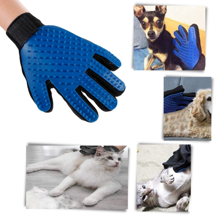 Gants de toilettage pour animaux (paire) - Ozerty