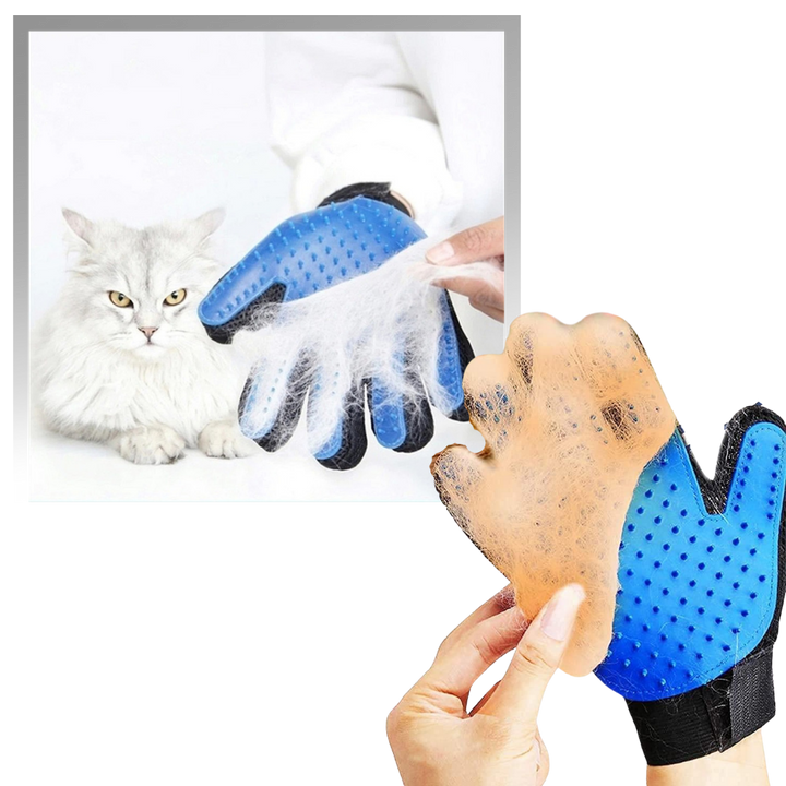 Gants de toilettage pour animaux (paire) - Ozerty