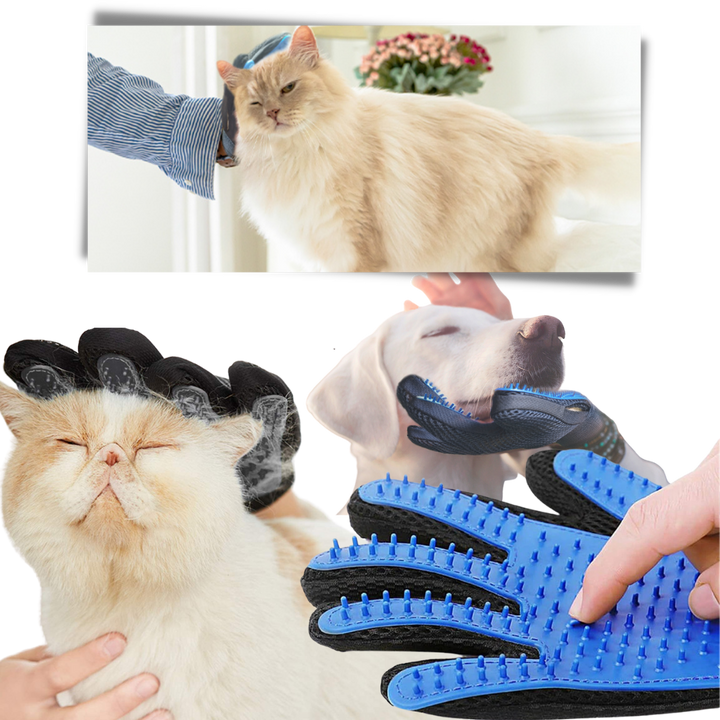 Gants de toilettage pour animaux (paire) - Ozerty