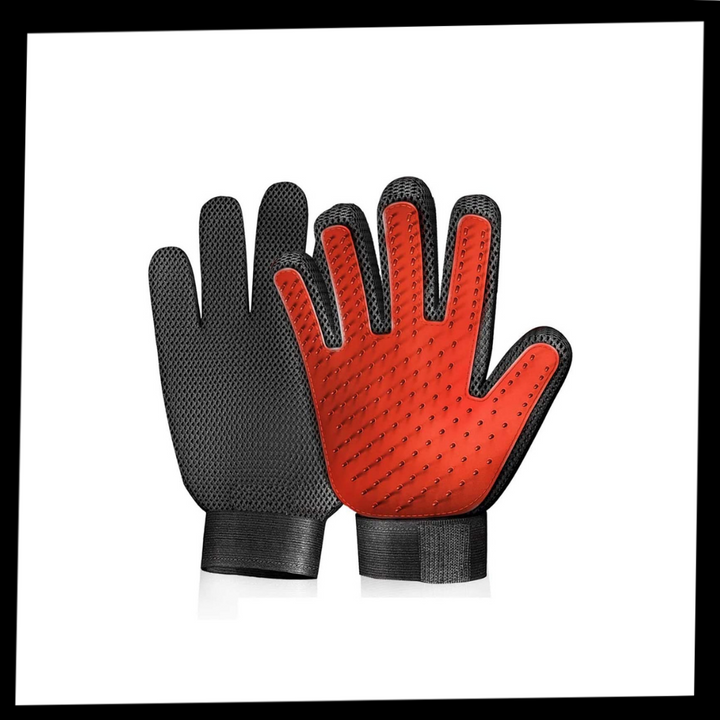 Gants de toilettage pour animaux (paire) - Ozerty