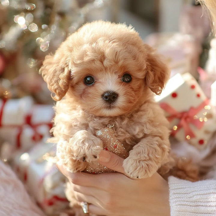 Adorable chiot en peluche réaliste, doux et câlin. Jouet enfant idéal.