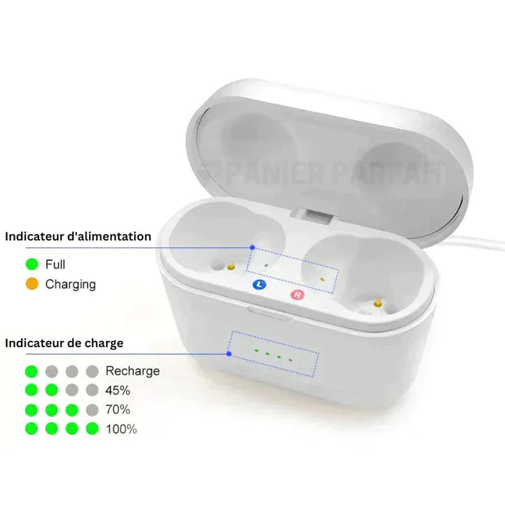 Appareil auditif invisible rechargeable, discret, avec annulation de bruit, design compact s'adaptant au conduit auditif.