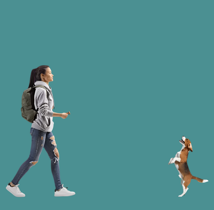Appareil dressage chien: ultrasons & LED.  Solution douce anti-aboiement, portée 15m.