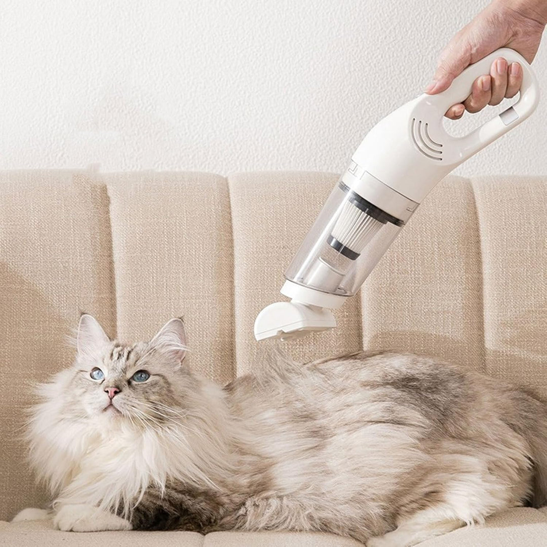 "Aspirateur portatif sans fil puissant spécial poils d'animaux avec design moderne et accessoires variés pour nettoyage effic