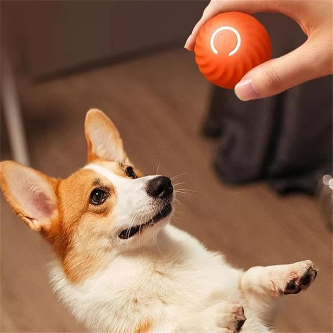 Balle auto-roulante interactive pour chien. Jouet amusant stimulant l'activité et l'instinct de chasse.
