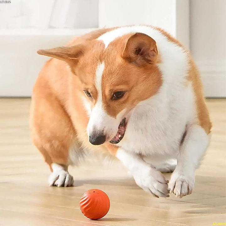 Balle auto-roulante interactive pour chien. Jouet amusant stimulant l'activité et l'instinct de chasse.
