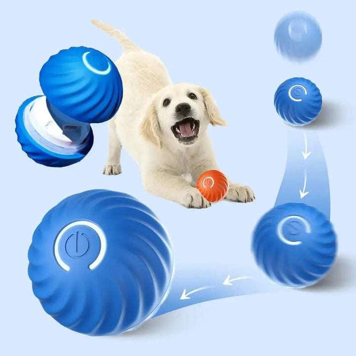 Balle auto-roulante interactive pour chien. Jouet amusant stimulant l'activité et l'instinct de chasse.