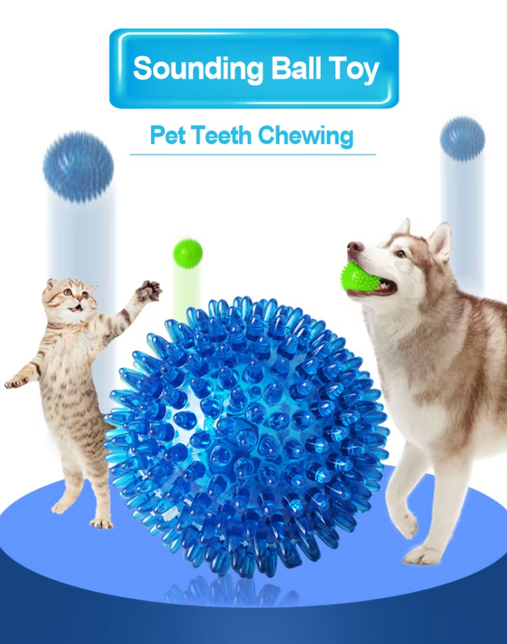 Balle de jeu pour chien à picots. Hygiène dentaire, massage gingival, jeu interactif.  Haute résistance.