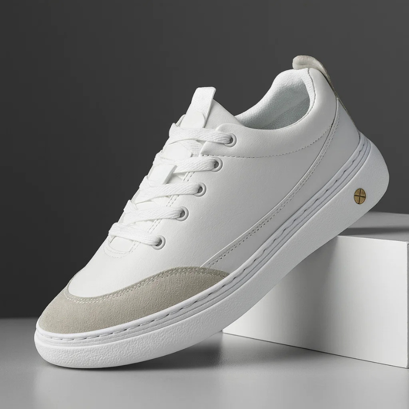 Paire de baskets casual élégantes pour hommes, conçues pour le confort quotidien et la marche urbaine.