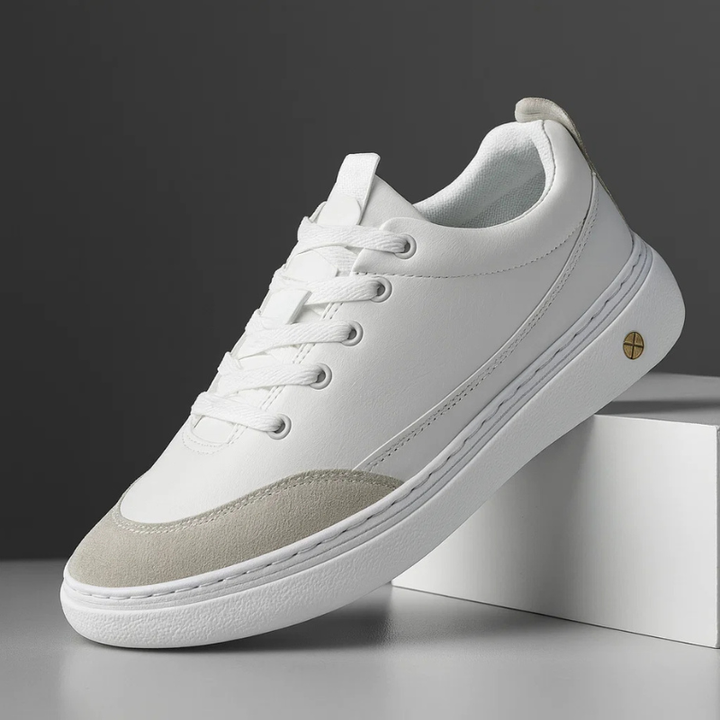 Paire de baskets casual élégantes pour hommes, conçues pour le confort quotidien et la marche urbaine.