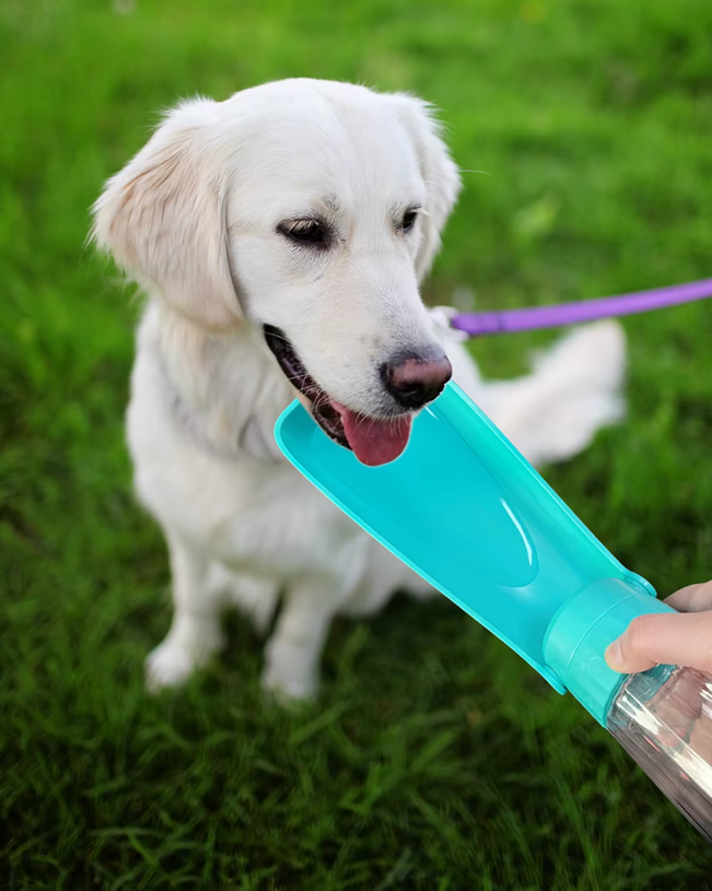 Bouteille d'eau chien 550ml anti-fuite.  Gobelet intégré, idéale voyage. Hydratation facile pour chien.
