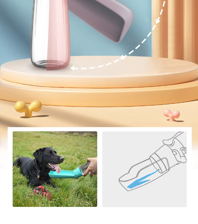 Bouteille d'eau chien 550ml anti-fuite.  Gobelet intégré, idéale voyage. Hydratation facile pour chien.