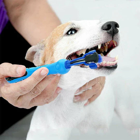 Brosse à dents chien 3 têtes. Soins dentaires optimaux. Nettoyage efficace, haleine fraîche.