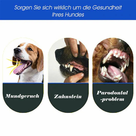 Brosse à dents chien 3 têtes. Soins dentaires optimaux. Nettoyage efficace, haleine fraîche.
