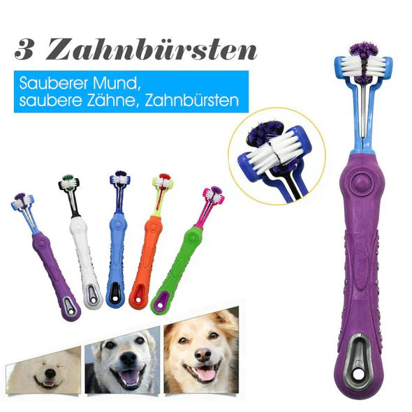 Brosse à dents chien 3 têtes. Soins dentaires optimaux. Nettoyage efficace, haleine fraîche.