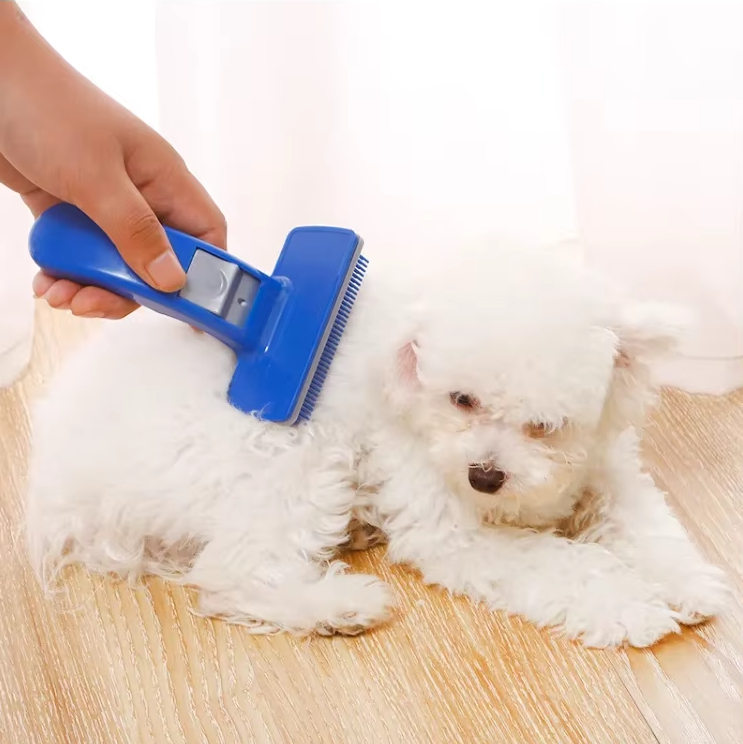 Brosse auto-nettoyante pour animaux. Silicone, poils courts ou longs. Toilettage facile et efficace.