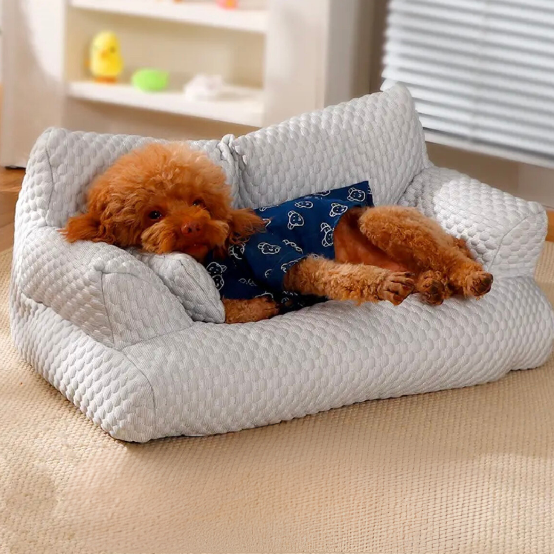 Canapé rafraîchissant pour chien. Coussin confortable et frais pour animaux. Idéal été.