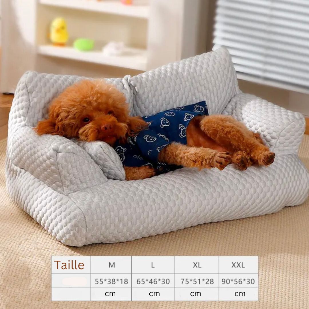 Canapé rafraîchissant pour chien. Coussin confortable et frais pour animaux. Idéal été.