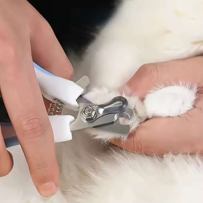 Ciseaux coupe-griffes animaux avec lime intégrée. Sécurité enfant.  Coupe précise et confortable. Soin des griffes facile.