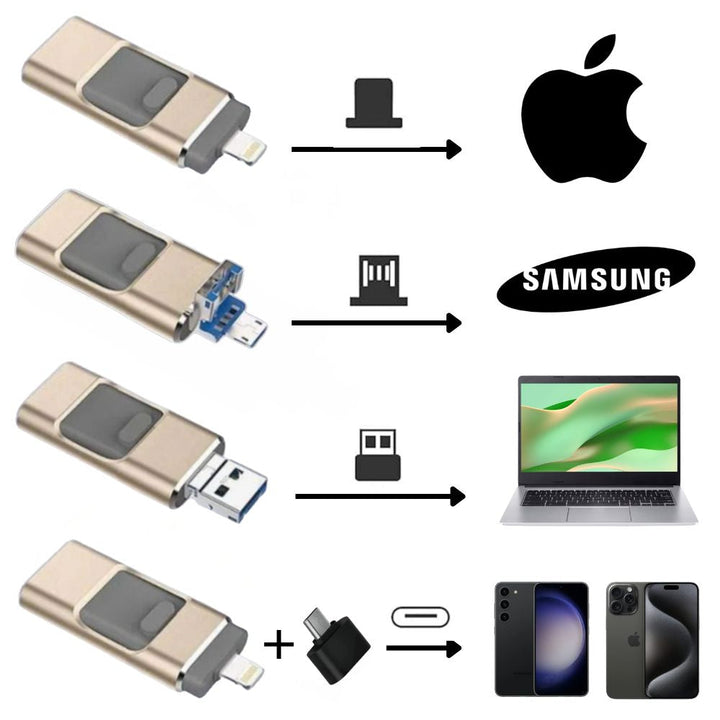 Connecteurs USB-C, Lightning, Micro-USB, USB-A sur clé USB universelle pour compatibilité maximale.
