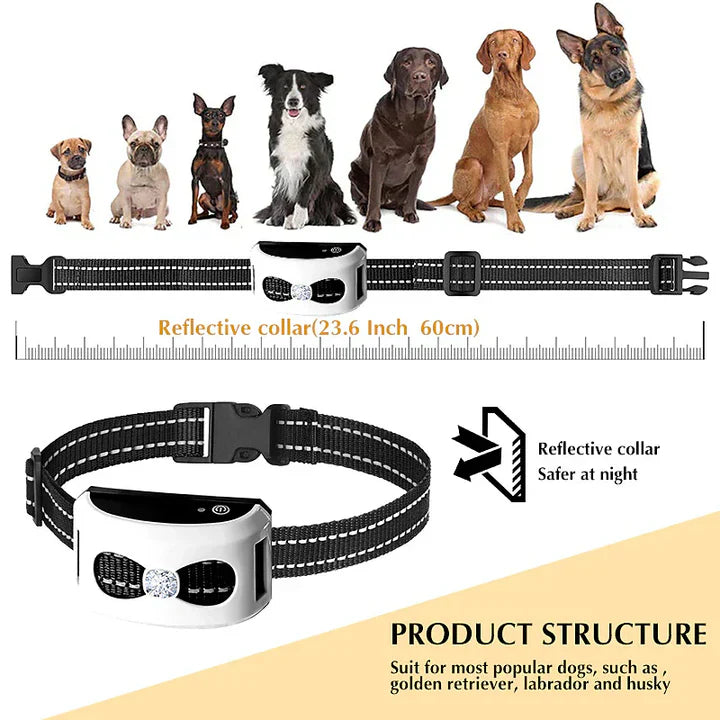 Clôture électrique sans fil pour chien. Collier de dressage intégré. Système 2-en-1 pour sécurité et éducation canine.