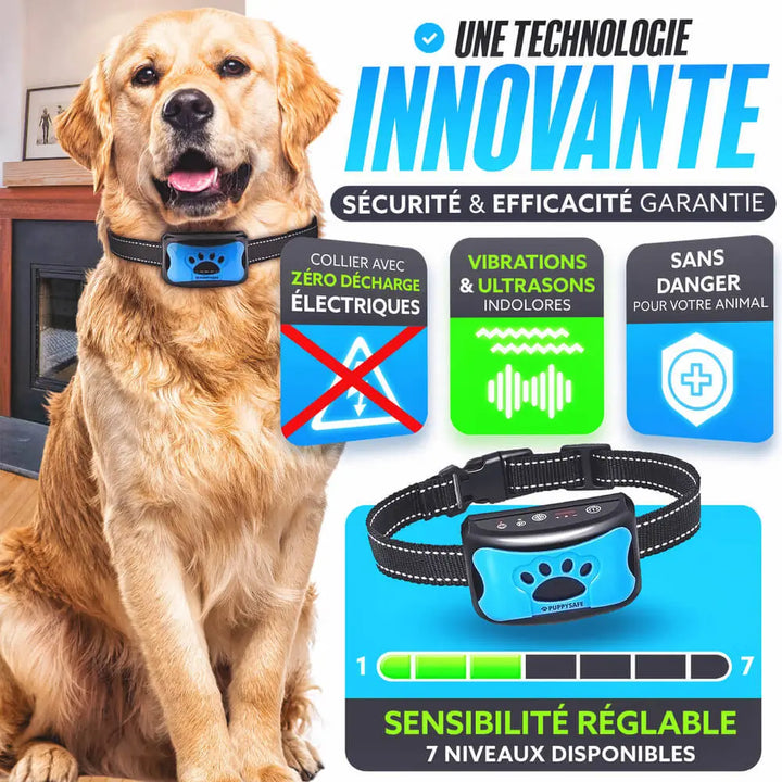 Collier anti-aboiement chien, vibrations douces, éducation positive, indolore.