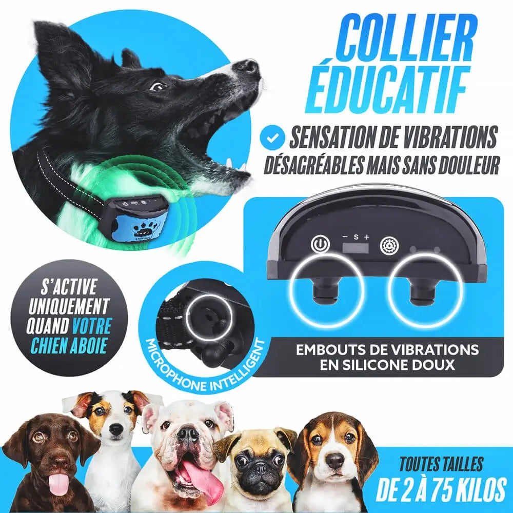 Collier anti-aboiement chien, vibrations douces, éducation positive, indolore.