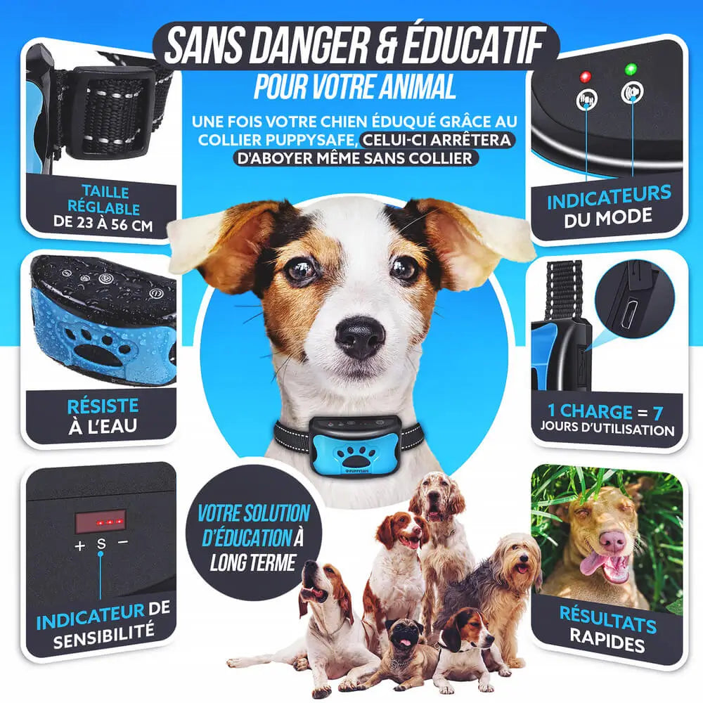 Collier anti-aboiement chien, vibrations douces, éducation positive, indolore.