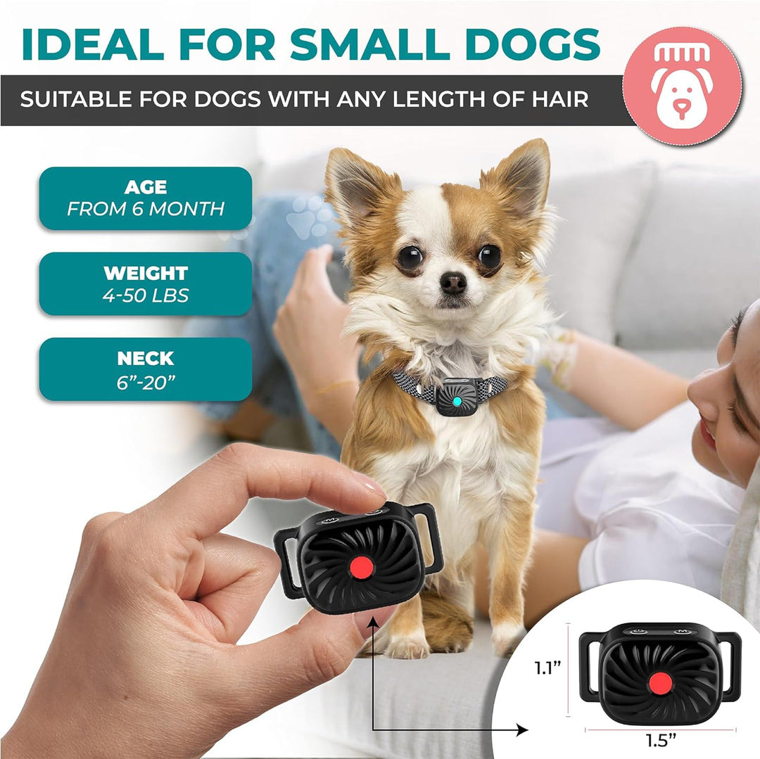 Collier anti-aboiement pour chien. Design léger et ajustable, solution douce et efficace.  Correction comportementale sans do