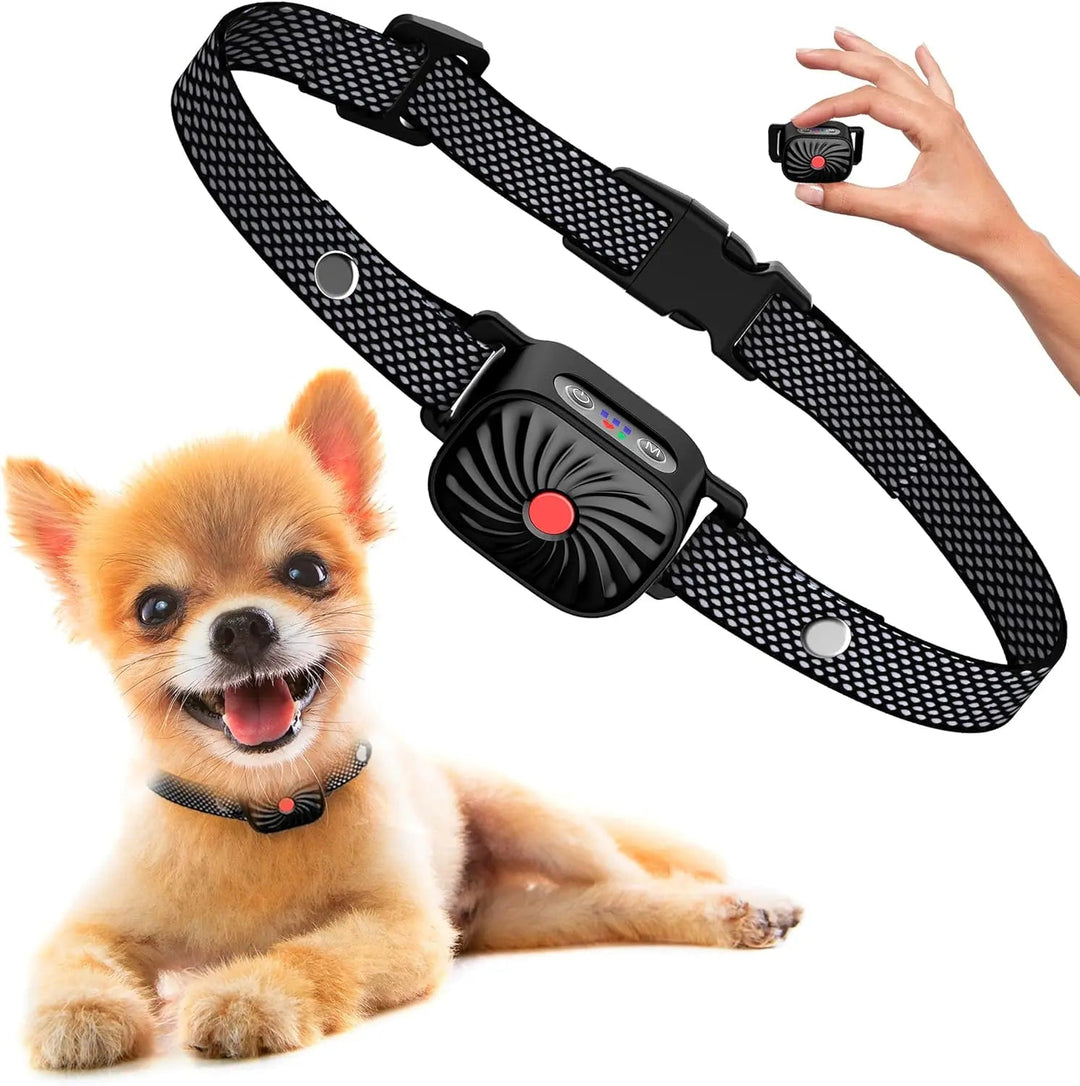 Collier anti-aboiement pour petits chiens. Dressage doux par vibrations et sons.  Confort optimal, résistant et étanche.