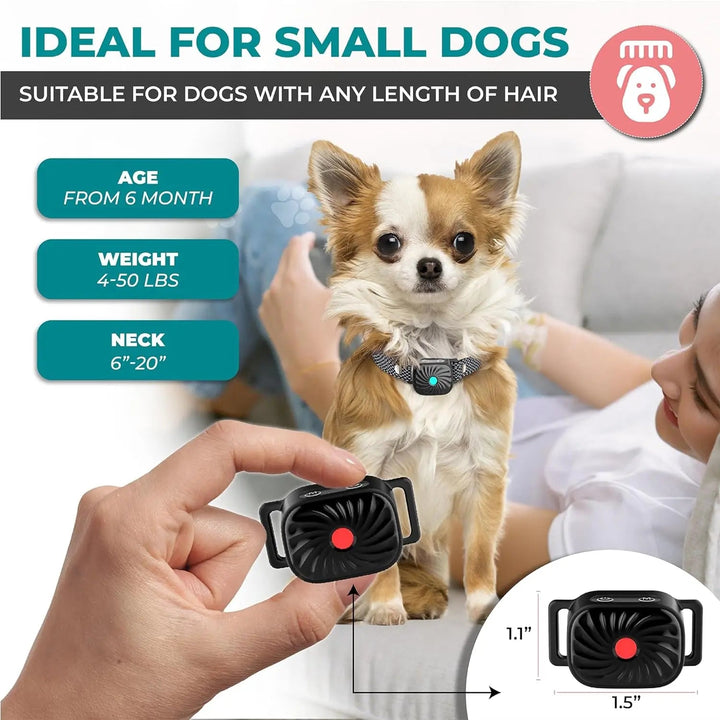 Collier anti-aboiement pour petits chiens. Dressage doux par vibrations et sons.  Confort optimal, résistant et étanche.
