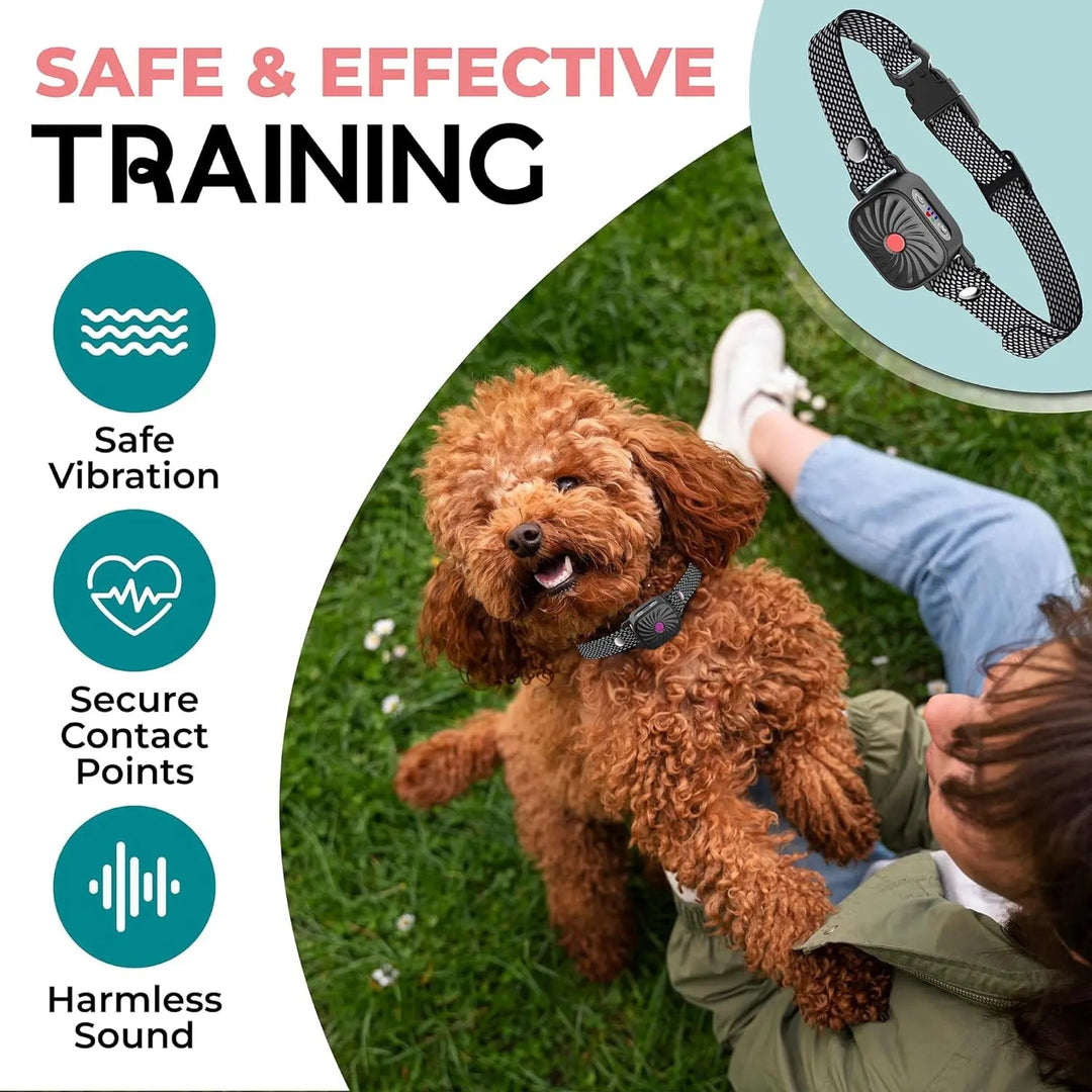 Collier anti-aboiement pour petits chiens. Dressage doux par vibrations et sons.  Confort optimal, résistant et étanche.