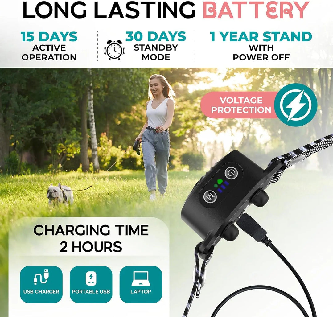 Collier anti-aboiement pour petits chiens. Dressage doux par vibrations et sons.  Confort optimal, résistant et étanche.