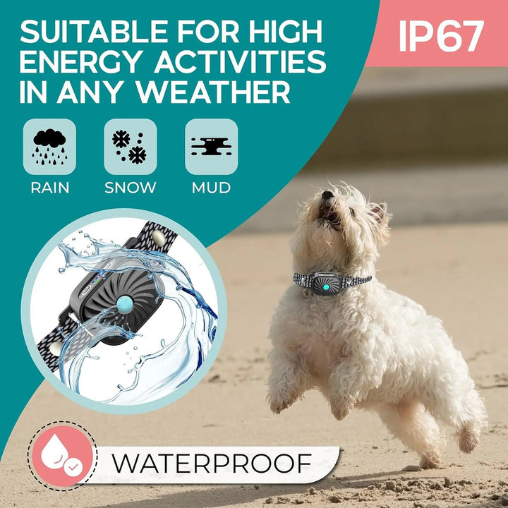 Collier anti-aboiement pour petits chiens. Dressage doux par vibrations et sons.  Confort optimal, résistant et étanche.